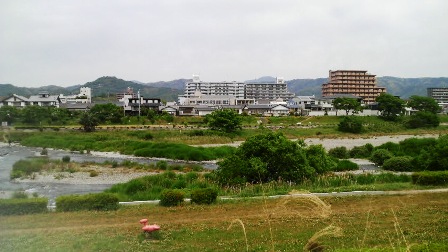 鏡川緑化公園.JPG