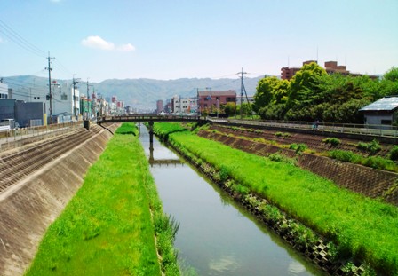 第二寝屋川（西木村橋から上流）.jpg