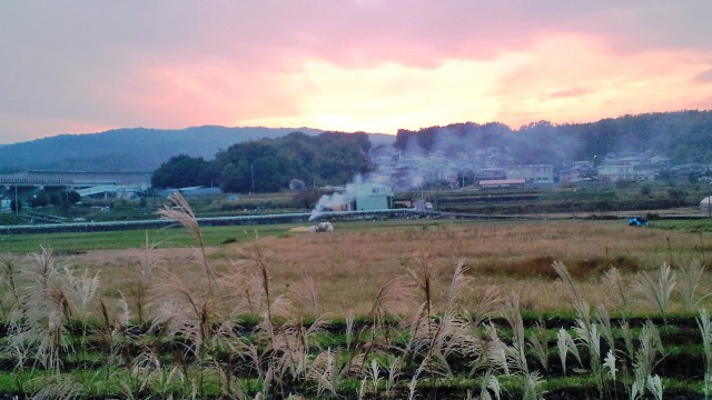 富雄川畔夕照 (2).jpg