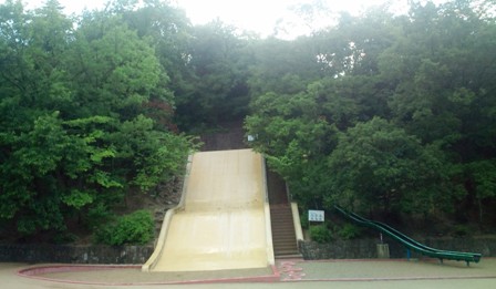 錦織公園 (3).jpg