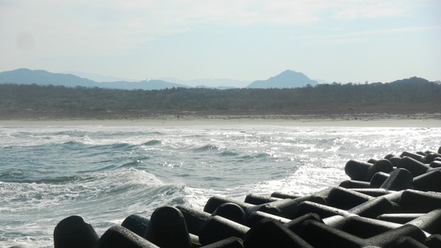 025千代川突堤より (4).JPG