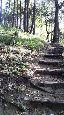 元枚岡神社への道.JPG