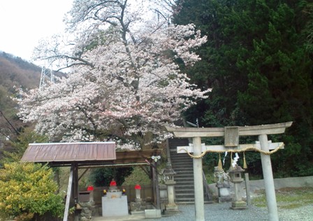 白龍大王 (2).JPG