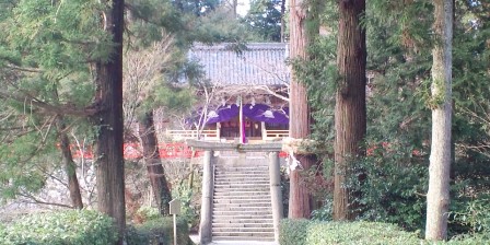 高鴨神社 (4).JPG