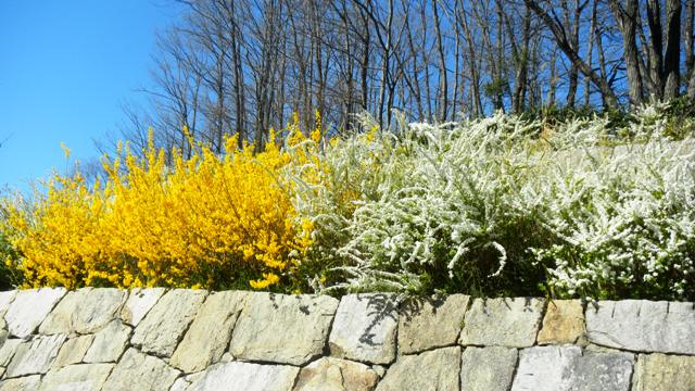 新宮山八幡跡 (5).JPG