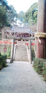 高鴨神社 (3).JPG