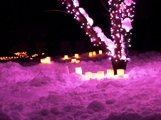 20110212雪燈籠まつり.jpg