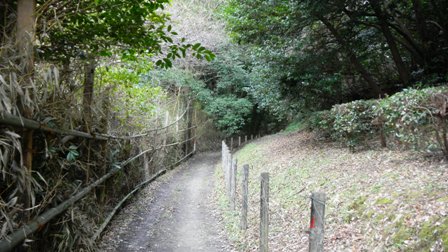 023懿徳天皇陵裏、畝傍山への道 - コピー.JPG