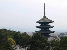 2009.6.4.大寺の塔を横切る青嵐.jpg