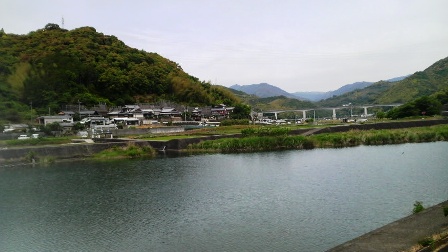 鏡川・岩ヶ淵地区 (3).JPG