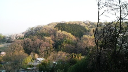 山ノ上碑からの眺望 (2).JPG