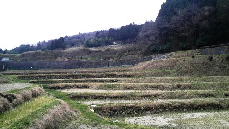 025暗峠付近の棚田.JPG
