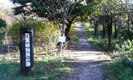 万葉植物展示園.JPG