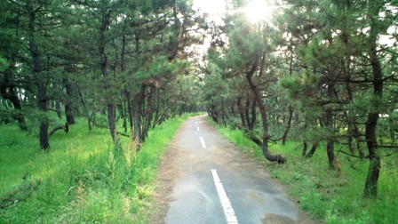 常願寺川からの自転車道 (4).jpg