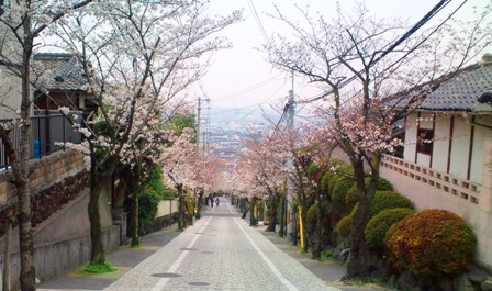石切桜坂 (3).JPG