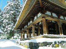 20100117新宮熊野神社.jpg