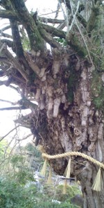 一言主神社 (2).JPG