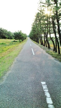 常願寺川からの自転車道 (6).jpg