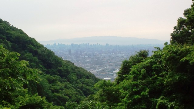 下山途中で大阪平野を望む.jpg