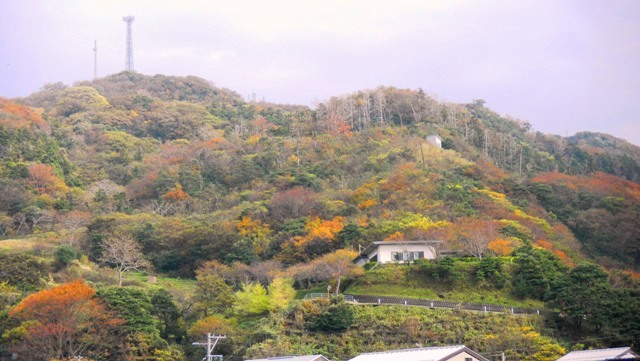 47名立うみテラスから紅葉の山 b.JPG