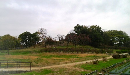 019城山古墳 (2).JPG