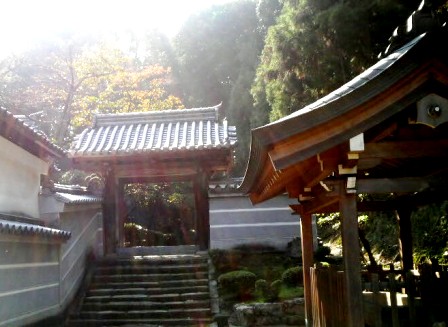 安福寺 (2).JPG