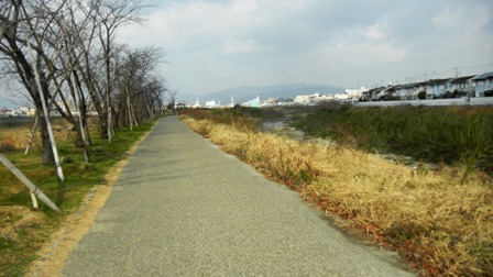 天野川畔.JPG