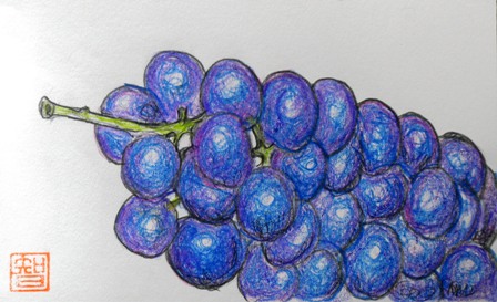 葡萄.JPG