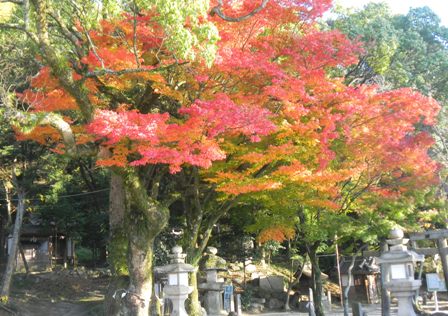 玉祖神社 (4).JPG