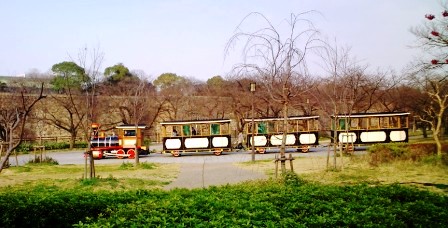 大阪城公園・ロードトレイン.JPG