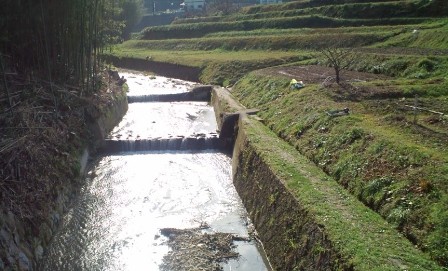 葛城川の支流・水越川.JPG