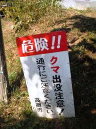 20111022城光寺の滝.jpg