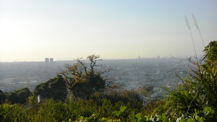 玉祖神社付近から大阪平野を望む (2).JPG