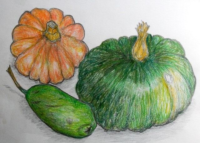 南瓜と冬瓜.JPG