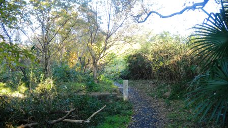 愛宕塚古墳 (2).JPG