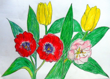 チューリップ (3).JPG