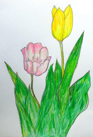 チューリップ (4).JPG