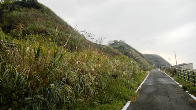 51久比岐自転車道・道b.JPG