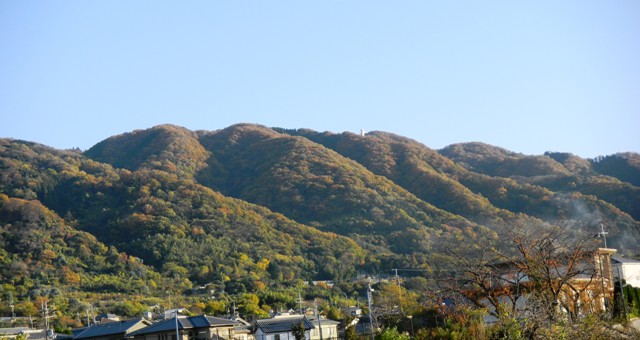 紅葉の山・玉祖神社から心合寺山古墳へと下る道から.JPG