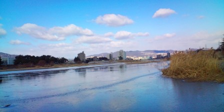 14武庫川(左岸から).JPG