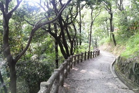 枚岡公園の道 (2).JPG