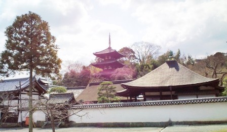 当麻寺 (6).JPG