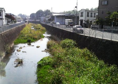 河内飛鳥川.JPG