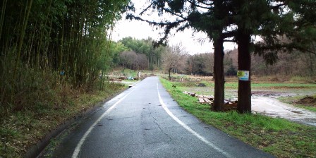 奈良自転車道 (2).JPG