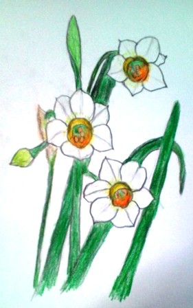 水仙２.JPG