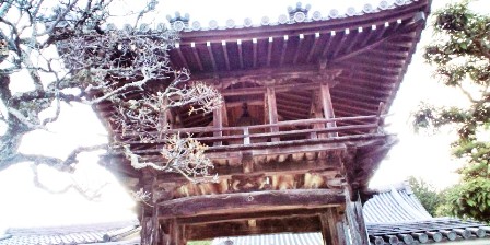 極楽寺 (4).JPG