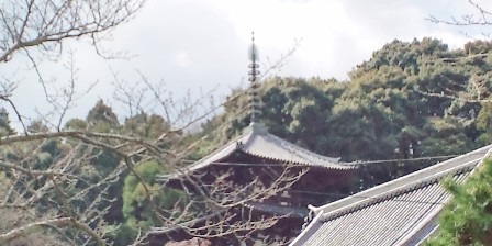 当麻寺 (15).JPG