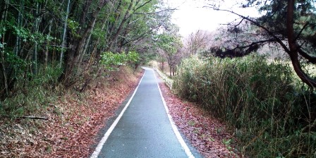 奈良自転車道.JPG