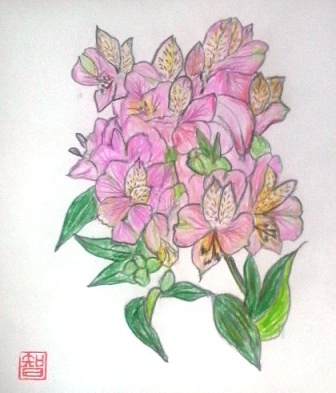 アルストロメリア (2).JPG