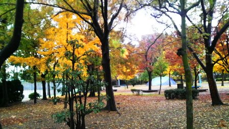024真田山公園.JPG